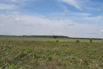 Teren aproape de Bucuresti langa padure - 5