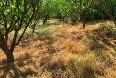 Teren de 1077 mp, în Potârnichea - 1