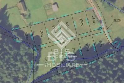 Teren intravilan parcelabil- Colibi?a, investitie - 7