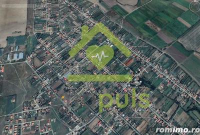 Teren de 1000 mp, în Pădureni (Jebel) - 1