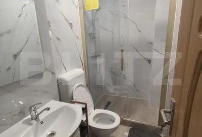 Garsoniera de vanzare, 24,33 mp, in Decebal - 1