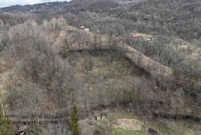 Teren Construcții intravilan de 3485 mp, în Cerașu - 4