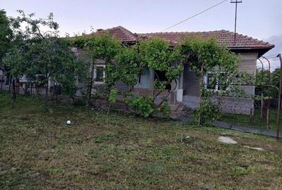 Casă cu 6 camere cu Teren 1600 Mp în Siliștea - 10