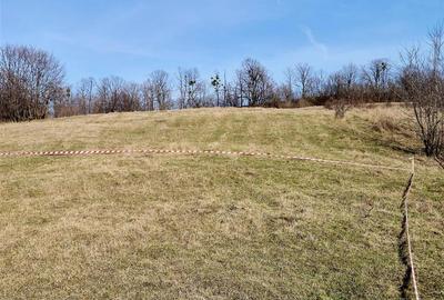 Teren agricol extravilan de 500 mp, în Tomești - 3