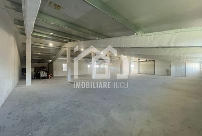 De închiriat: Hală de depozitare și producție în Jucu de Mijloc De închiriat: Hală de depozitare și producție în Jucu de Mijloc - 4