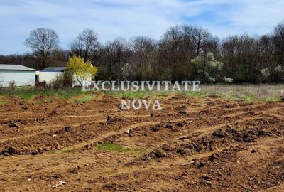 Teren Construcții intravilan de 4900 mp, în Cernica - 5