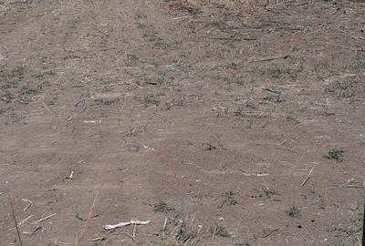 Teren de 1367 mp, în Săbăreni