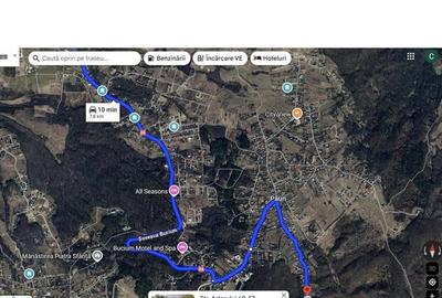 Teren intravilan de 10000 mp, în Bucium - 1