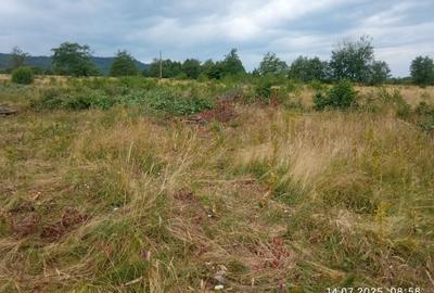 Teren de 5000 mp, în Vicovu de Sus - 4