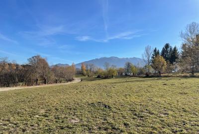 Teren intravilan loturi intre 500 si 1000 m, la 5 km de Moieciu - 7