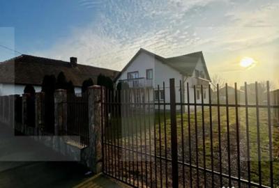 Casă cu 7 camere cu Teren 938 Mp în Peciu Nou - 2