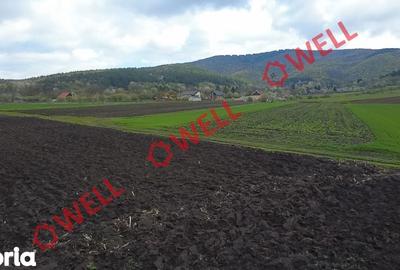 Teren de 5000 mp, în Ozun - 7