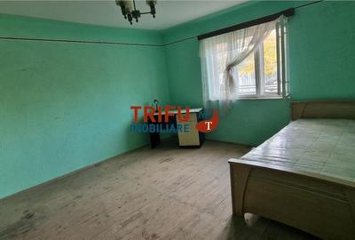 Casă de vânzare zona Cetate Schit 740 mp teren - 4