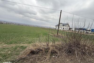 Spațiu comercial, în Grănicești - 4