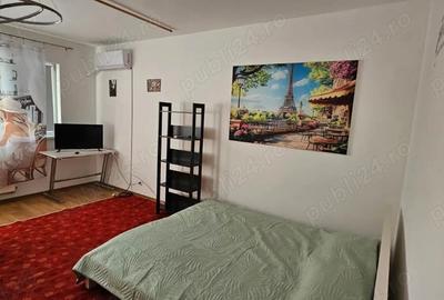 Garsoniera Dr. Taberei ANL Brancusi Dr. Doftanei - 6