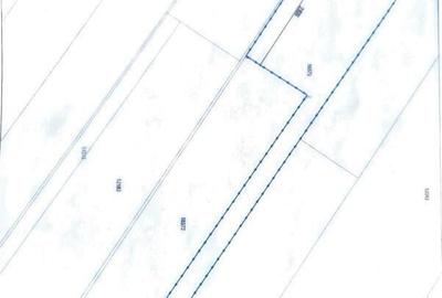 Casă cu 4 camere cu Teren 1120 Mp în Cornetu