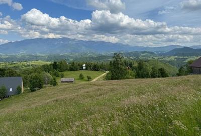 Teren inconjurat de natura de vanzare in Pestera - 10
