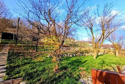 Casă cu 5 camere în Curteni - 9