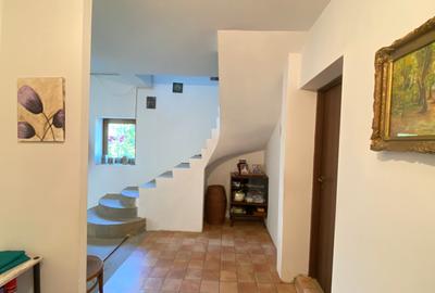 De vanzare casa individuala cu teren Gruiu , Calarasi ,Budesti - 20