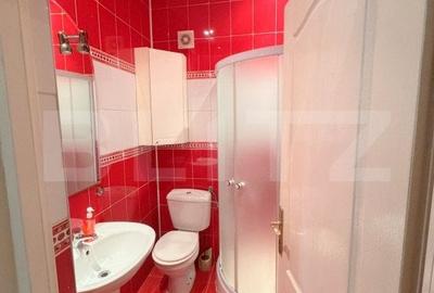 Casa individuala, 6 camere, 196 mp, zona Parc 14 Iulie-Grigorescu - 10