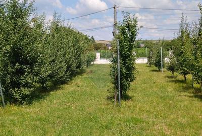 Casa / Vila de lux cu 5 camere de vanzare in Vadu Moldovei, Suceava - 57