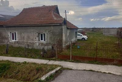 Teren de 42 mp, în Ciuperceni - 2