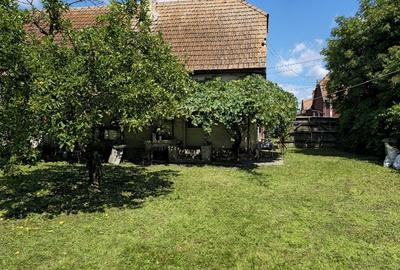 Casă cu 3 camere în Buduș - 5