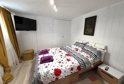 Apartament cu 4 camere decomandat, mobilat în Valea Alba - 14