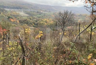 Teren de 787 mp, în Central - 5