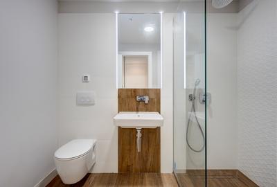 Apartament cu 3 camere semidecomandat în Aviației - 5