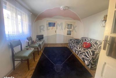 Casă cu 4 camere cu Teren 2522 Mp în Brateiu - 5
