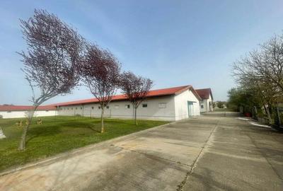 Spațiu comercial, de 5,000 mp, în Dumbrăvița - 3