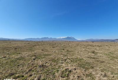 Teren de 3900 mp, în Central