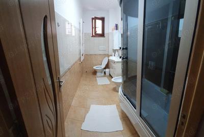 Apartament cu 2 camere decomandat în Hunedoara - 4
