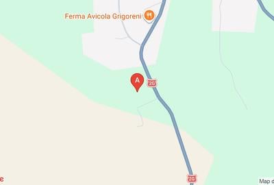 Teren Construcții extravilan de 3500 mp, în Grigoreni - 1