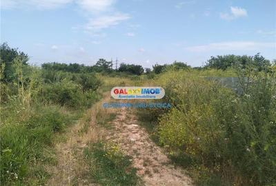 Teren 1450mp 14m deschidere ideal investitie la granita cu sector 4 Teren 1450mp 14m deschidere ideal investitie la granita cu sector 4 - 4