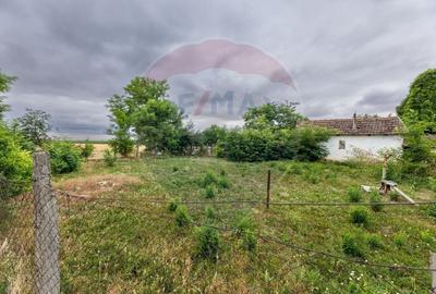 Teren agricol intravilan de 1200 mp, în Variașu Mare - 2