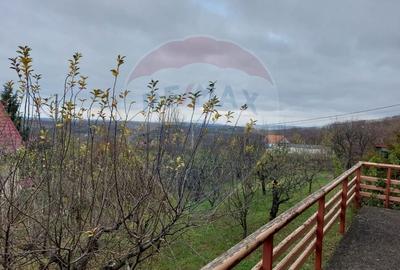 Casa / Vila cu 4 camere de vanzare in zona Sud-Est - 3