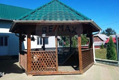 Casă cu 8 camere cu Teren 1300 Mp în Gălănești - 9