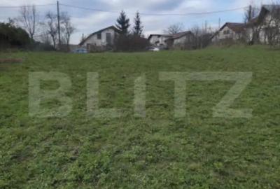 Teren de 3000 mp, în Plopu - 3