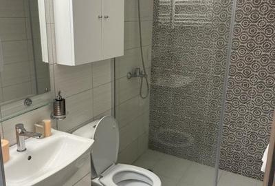 Apartament 1 camera ultracentral de Inchiriat Apartament 1 camera ultracentral de Inchiriat - 5