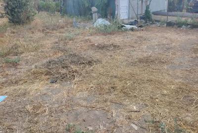 Vand Casa in Comasca - 11