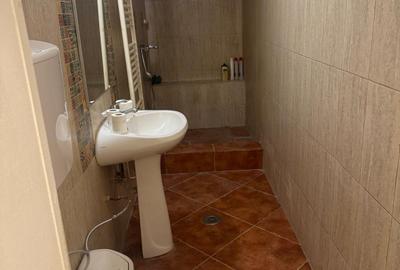 Casă individuală cu 4 camere cu Canalizare în Herăstrău - 6