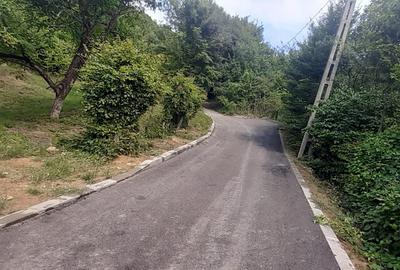 Casă cu 4 camere cu Teren 2100 Mp în Baia Sprie