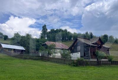 Teren ideal pentru investi?ie, ?aru Dornei, 36.000 mp - 1