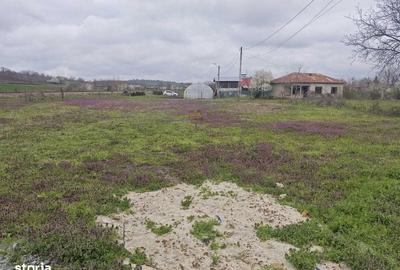 Teren de 1600 mp, în Daia - 5