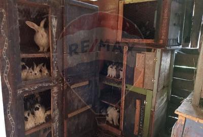 Casă individuală cu 4 camere cu Teren 11016 Mp în Valea Babei - 26