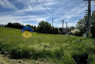 Teren Viisoara - comuna Alexandru cel Bun - 7
