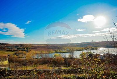 Casă individuală cu 4 camere cu Teren 504 Mp în Paleu - 8