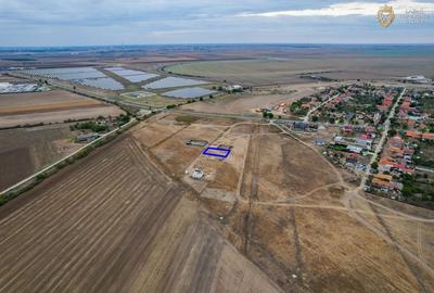 Teren de vanzare Vladimirescu - 10